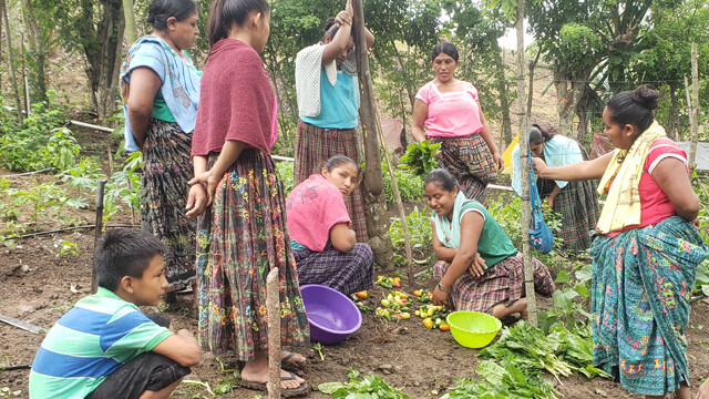 GUATEMALA_EQUIDAD GENERO.jpg